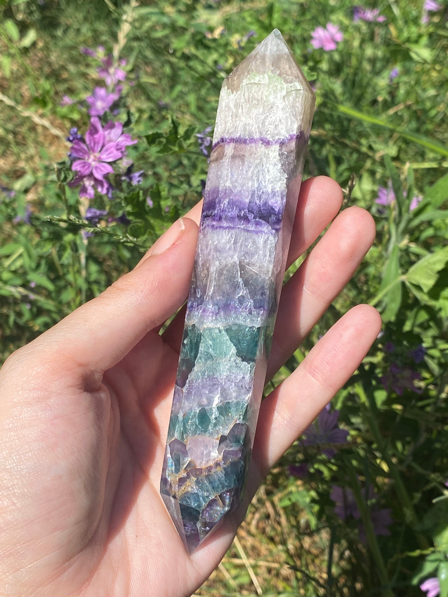 Biterminata in fluorite C