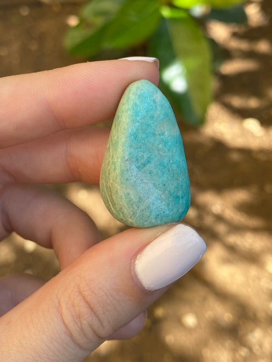 Amazzonite burattata