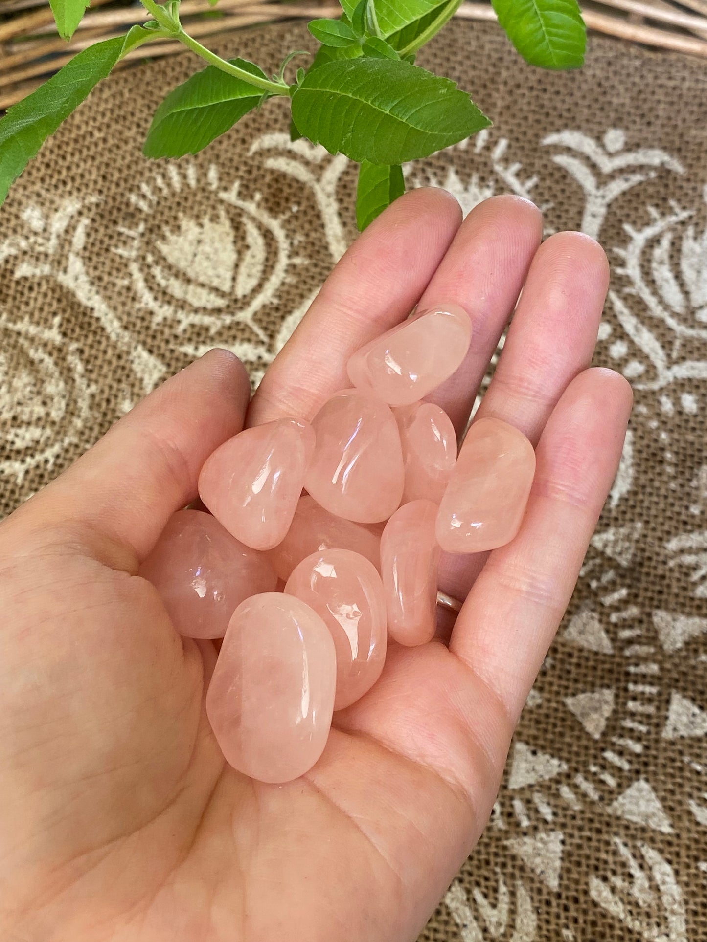 Quarzo rosa burattato