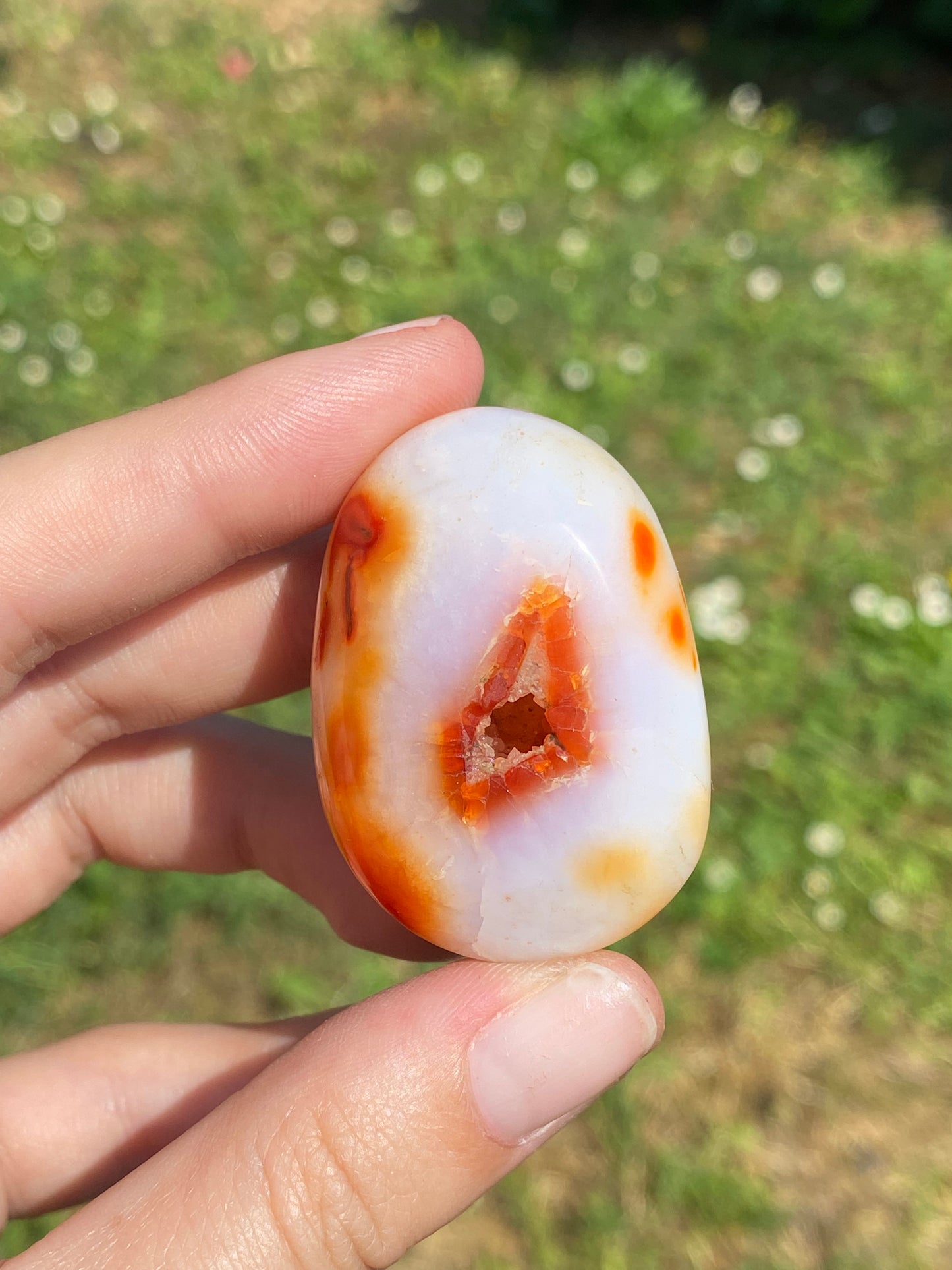 Palmstone in agata Corniola